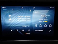 Lynk & Co Cannon 2021 2.0T passenger global version automatic gasoline four-wheel drive exclusive standard box trailer versi…