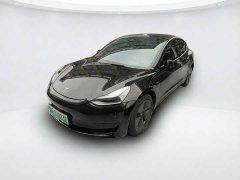 Tesla Model 3 standard range rear drive upgraded version 3D6 - фото 1