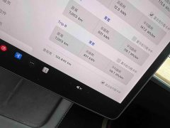 Tesla Model 3 standard range rear drive upgraded version 3D6 - фото 5