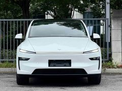 Tesla Model Y rear-wheel drive version - фото 1