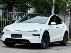 Tesla Model Y rear-wheel drive version - фото 2