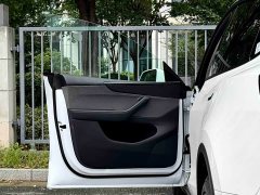 Tesla Model Y rear-wheel drive version - фото 6
