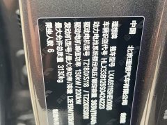 Li Auto Ideal L8 2024 Max - фото 7
