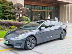 Tesla Model 3 Standard Range Rear Drive Upgraded Version - фото 1