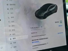 Tesla Model 3 Standard Range Rear Drive Upgraded Version - фото 10