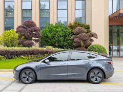 Tesla Model 3 Standard Range Rear Drive Upgraded Version - фото 7