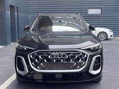 Audi Q5L 2.0T Exclusive Edition for Ten Million Users - фото 2