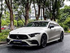 Mercedes-Benz CLS 300 Dynamic - фото 1