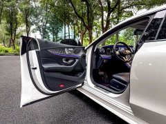 Mercedes-Benz CLS 300 Dynamic - фото 13