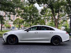 Mercedes-Benz CLS 300 Dynamic - фото 3