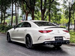 Mercedes-Benz CLS 300 Dynamic - фото 4