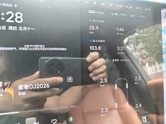 Li Auto Ideal L8 Max - фото 5
