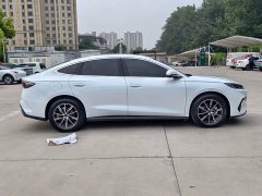 BYD Seal 06 2024 DM-i 120KM Honor Type - фото 5