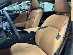 Lexus ES 2023 200 Excellence Edition - фото 9