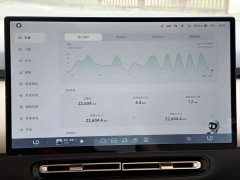 Xpeng P7 Long Battery Life Max - фото 17