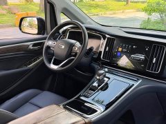 GAC Trumpchi M8 Master Series 390T Premium Edition - фото 9