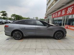 Lexus Han 2020 DM four-wheel drive performance version luxury - фото 8