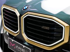 BMW XM 2023 Base - фото 6