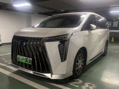 Trumpchi E9 Champion Edition - фото 1