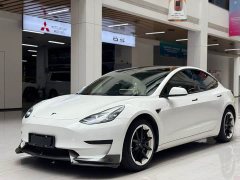 Tesla Model 3 rear-wheel drive version - фото 1