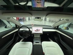 Tesla Model 3 rear-wheel drive version - фото 13