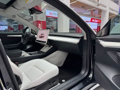 Tesla Model 3 rear-wheel drive version - фото 15
