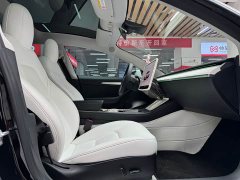Tesla Model 3 rear-wheel drive version - фото 16