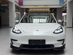 Tesla Model 3 rear-wheel drive version - фото 2