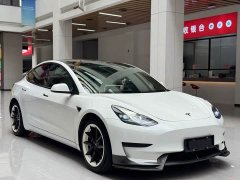 Tesla Model 3 rear-wheel drive version - фото 3