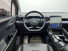 Lexus Kusitu 2021 380TGDi Smart Love Premium Edition LUX Premium - фото 19