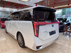 Trumpchi M8 2023 Grandmaster Series Dual Engine Royal Edition - фото 6