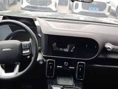 Haval Big Dog 1.5T DCT two-wheel drive Border Collie version - фото 4