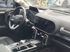 Haval Big Dog 1.5T DCT two-wheel drive Border Collie version - фото 5