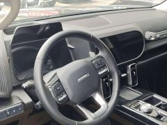 Haval Big Dog 1.5T DCT two-wheel drive Border Collie version - фото 6