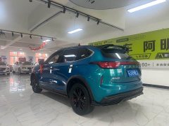 Haval Red Rabbit Engine Edition 1.5T Silver Rabbit - фото 6