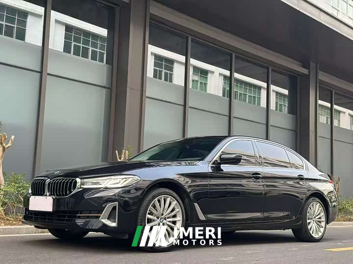 BMW 5 Series 530Li Luxury Line - автомобиль из Китая