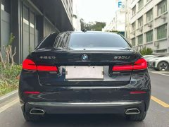 BMW 5 Series 530Li Luxury Line - фото 8