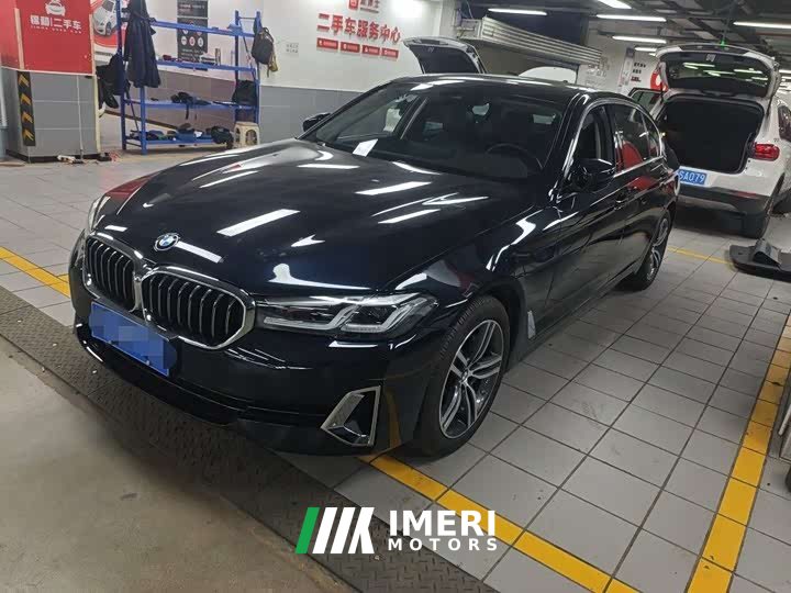 BMW 5 Series 530Li Leading Luxury Package - автомобиль из Китая