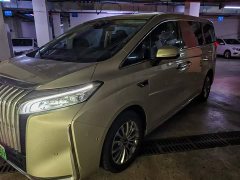 Lexus Wei brand Alpine 2023 four-wheel drive flagship version - фото 2