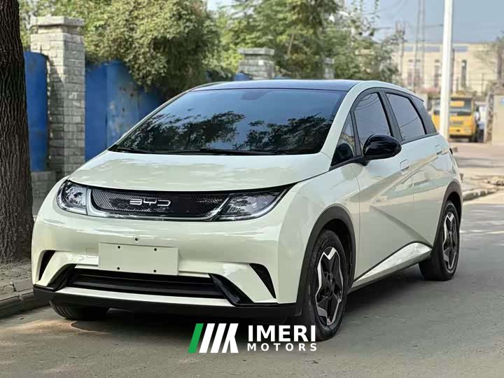 BYD Dolphin 2021 405km fashion version - автомобиль из Китая