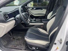 BYD Qin PLUS 2025 EV Intelligent Driving Edition 420KM Progressive - фото 9