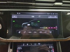 Audi Q7 2023 55 TFSI quattro S line ice and snow sports version - фото 15