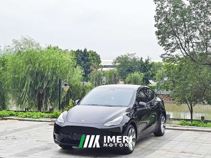 Tesla Model Y standard range rear-wheel drive version - автомобиль из Китая