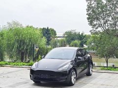 Tesla Model Y standard range rear-wheel drive version - фото 1