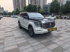 Tank 500 3.0T sports version, environment type, 5 seats - фото 6