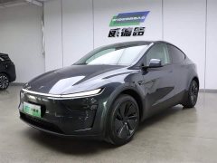 Tesla Model Y rear-wheel drive version - фото 1