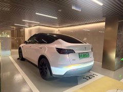 Tesla Model Y rear-wheel drive version - фото 4