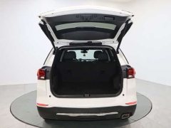 Ford Explorer 535T Chijie Edition - фото 9