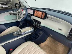 Ora Ballet Cat 2023 401km Premium - фото 15