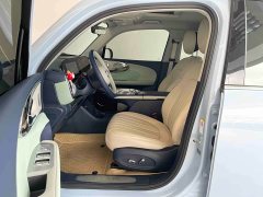 Ora Ballet Cat 2023 401km Premium - фото 4